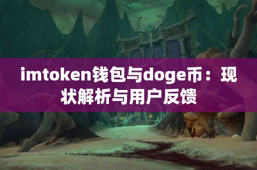 imtoken钱包与doge币：现状解析与用户反馈