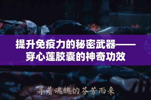 提升免疫力的秘密武器——穿心莲胶囊的神奇功效