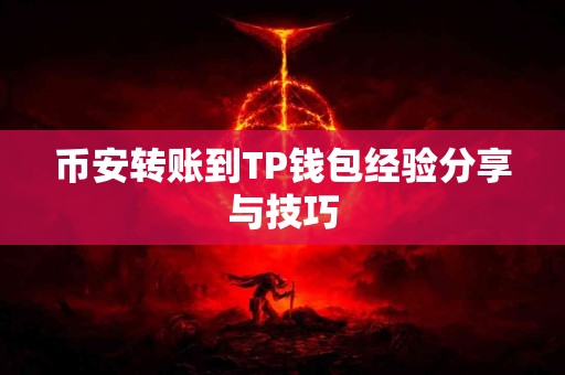 币安转账到TP钱包经验分享与技巧
