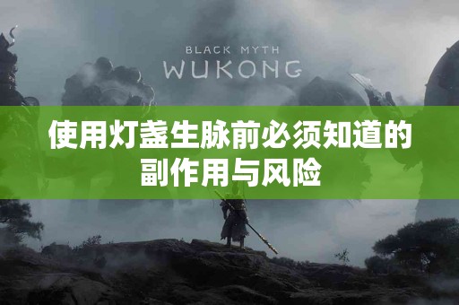 使用灯盏生脉前必须知道的副作用与风险