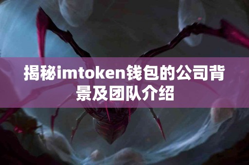 揭秘imtoken钱包的公司背景及团队介绍