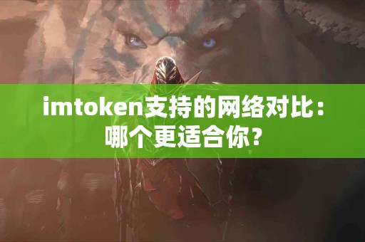 imtoken支持的网络对比：哪个更适合你？