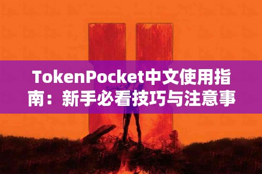 TokenPocket中文使用指南：新手必看技巧与注意事项