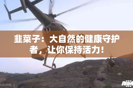 韭菜子：大自然的健康守护者，让你保持活力！