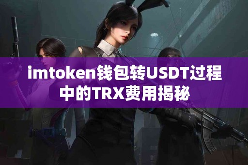 imtoken钱包转USDT过程中的TRX费用揭秘